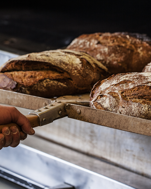 Das sind die 5 häufigsten Fragen rund ums Brot – und die Antworten