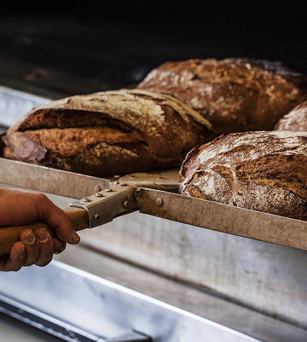 Das sind die 5 häufigsten Fragen rund ums Brot – und die Antworten