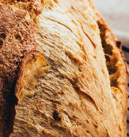 Neu bei uns: Pane