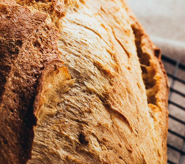 Neu bei uns: Pane