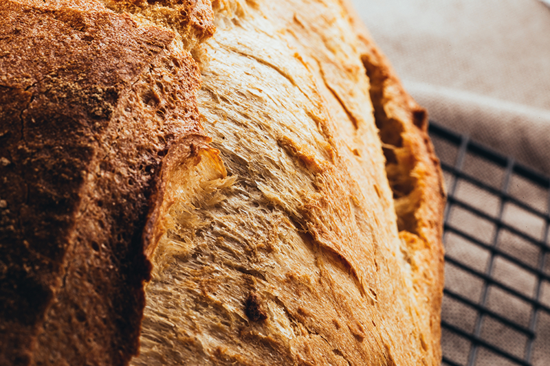 Neu bei uns: Pane