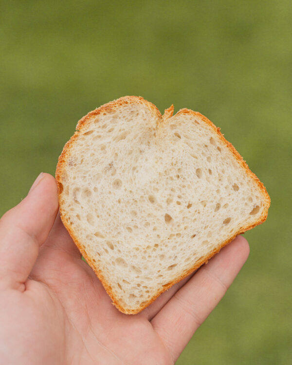 Die Top 5 Qualitätskriterien für gutes Brot